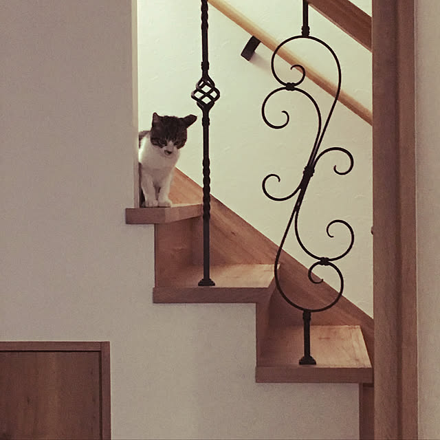 mameさんの実例写真