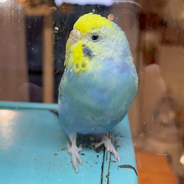 Atsukoさんの部屋