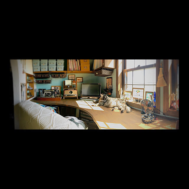 itaruさんの実例写真