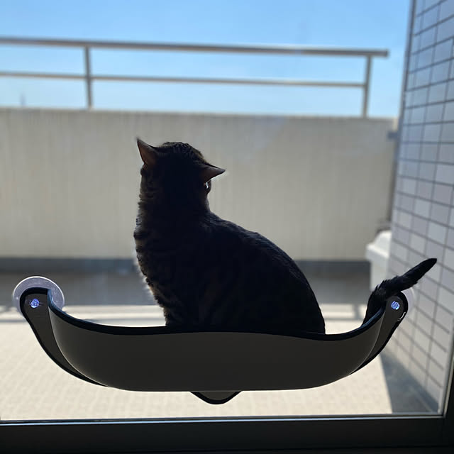 yumuyumuさんの実例写真