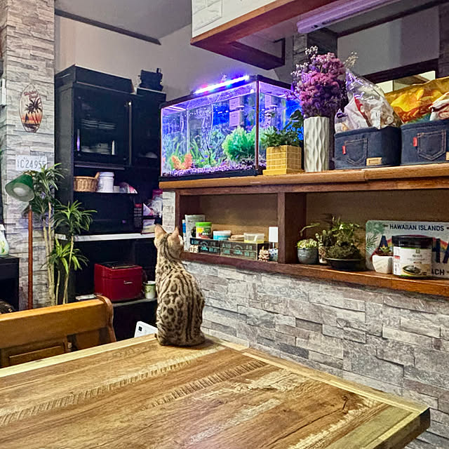 tututu0204さんの部屋