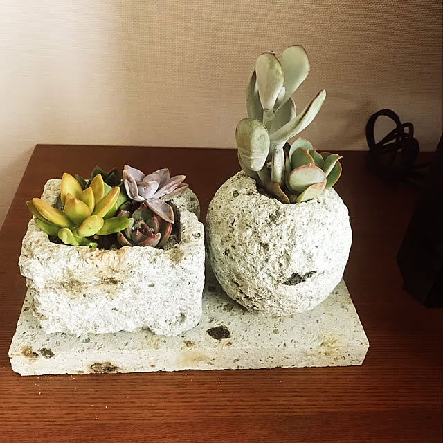 saocha_nさんの実例写真
