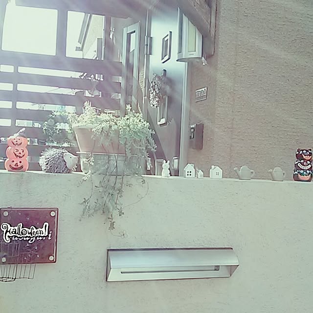 portulacaさんの実例写真