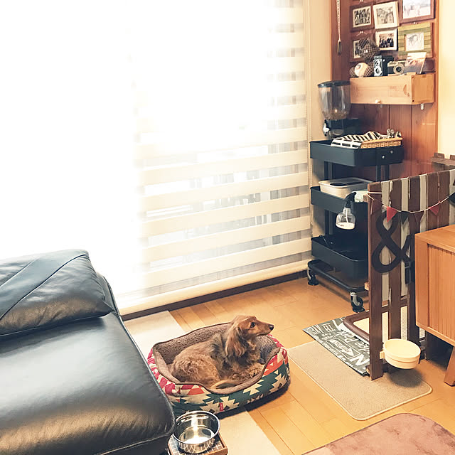 ek24さんの実例写真