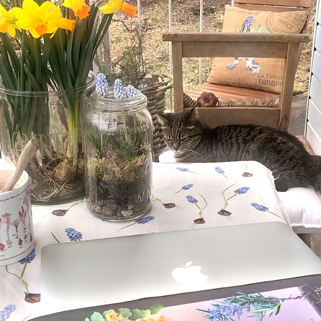 weさんの実例写真