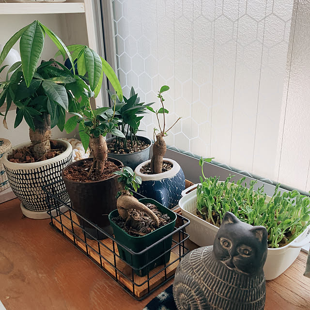 meekoさんの実例写真