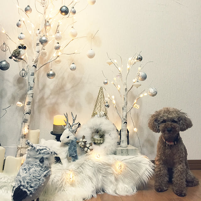 yyy888さんの実例写真