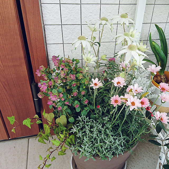16Novemberさんの実例写真