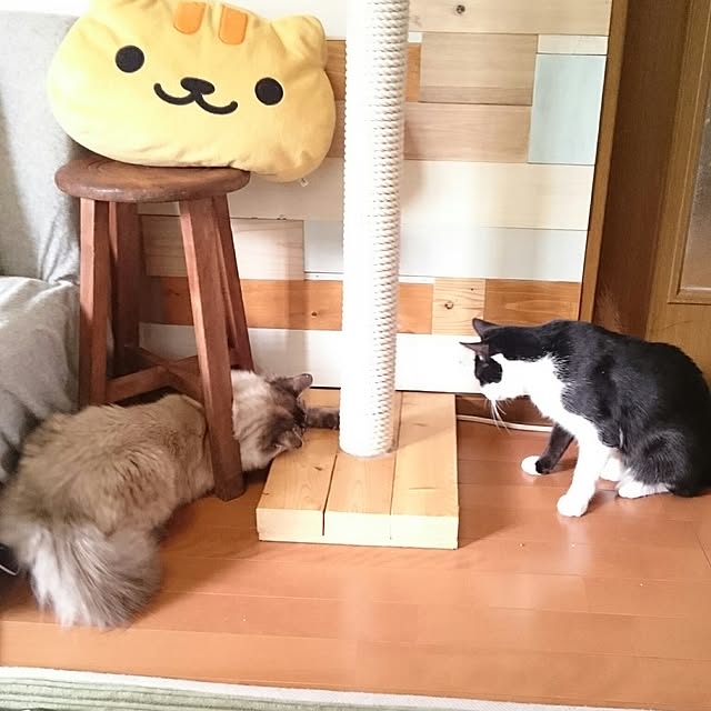 kazaneさんの実例写真