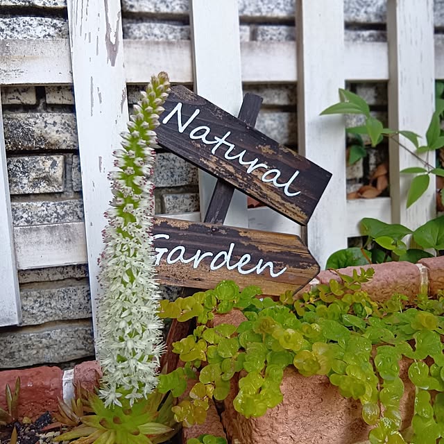 25Moondropsさんの実例写真