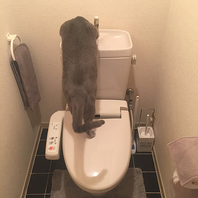 sayuuuさんの実例写真