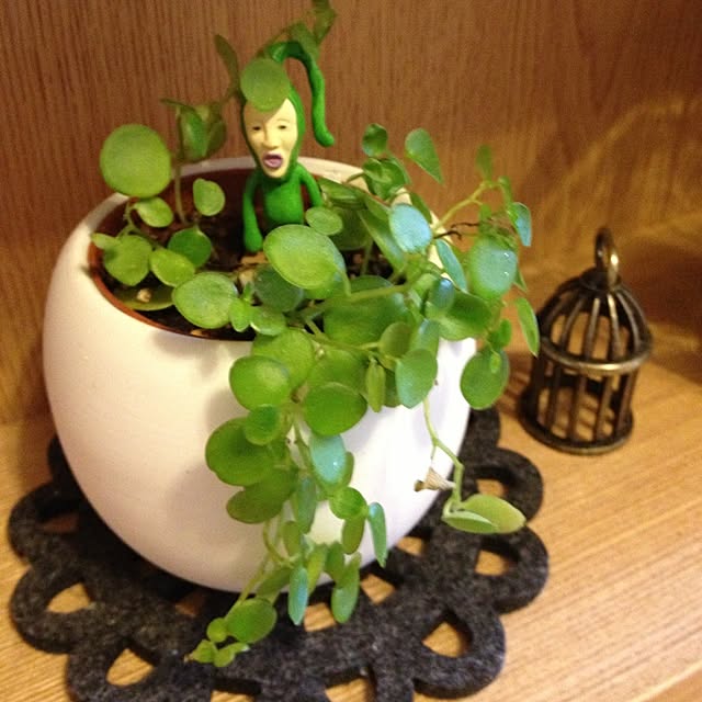 umeさんの実例写真