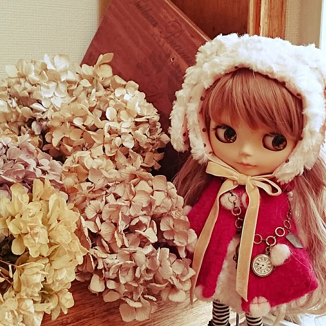 カスタムブライスのおすすめ商品とおしゃれな実例 | RoomClip カスタムブライスのおすすめ商品とおしゃれな実例 | RoomClip