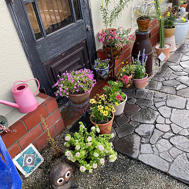 shin0719さんの実例写真