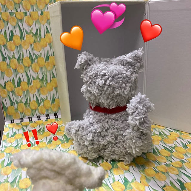 manduonmaさんの実例写真