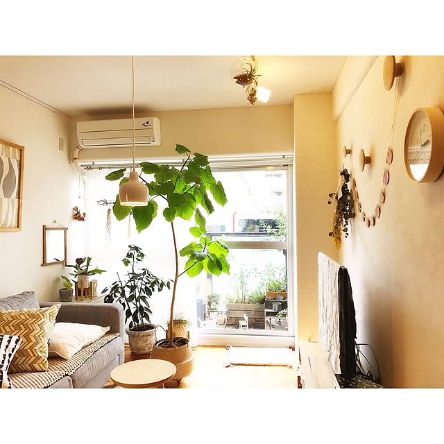 Hisayoさんの実例写真
