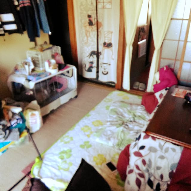 kanaminさんの実例写真