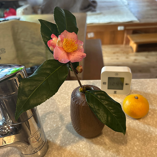 mozukuさんの実例写真