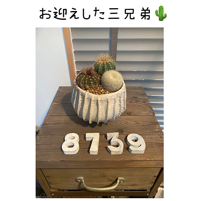 mkk8739hanasakuさんの実例写真