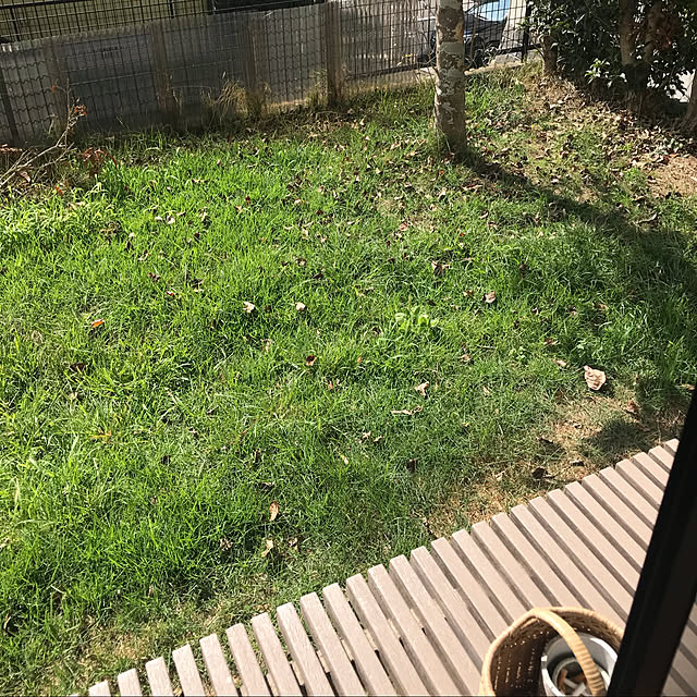 Manaさんの実例写真
