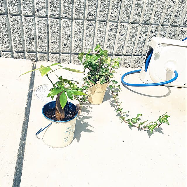 ai_yatさんの実例写真