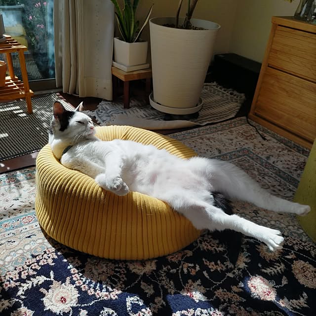 yuuさんの部屋