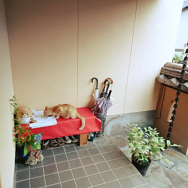 uchizukonyanさんの実例写真