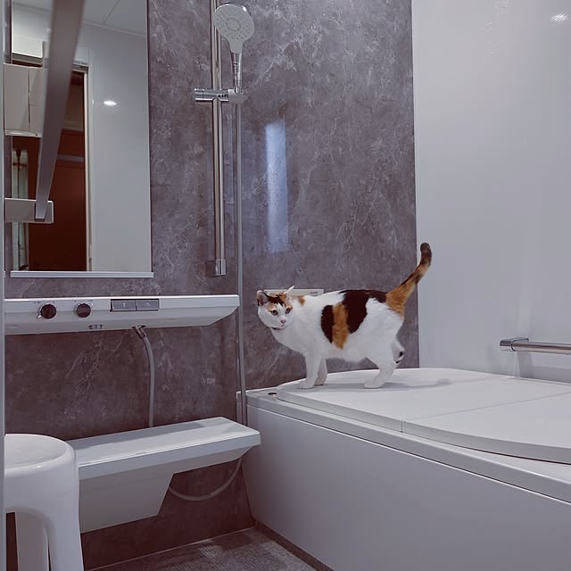 nyanta.koume.kannaさんの実例写真