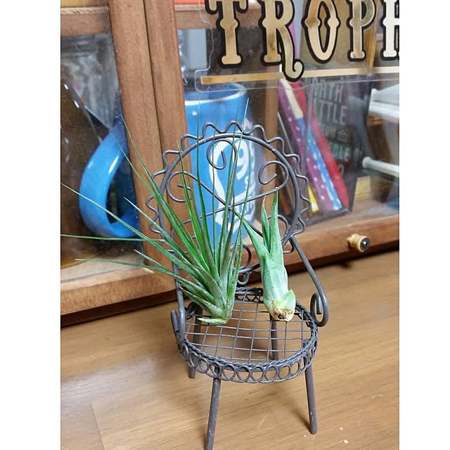 annさんの実例写真