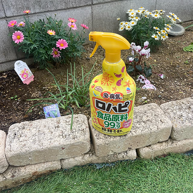 Haruさんの実例写真