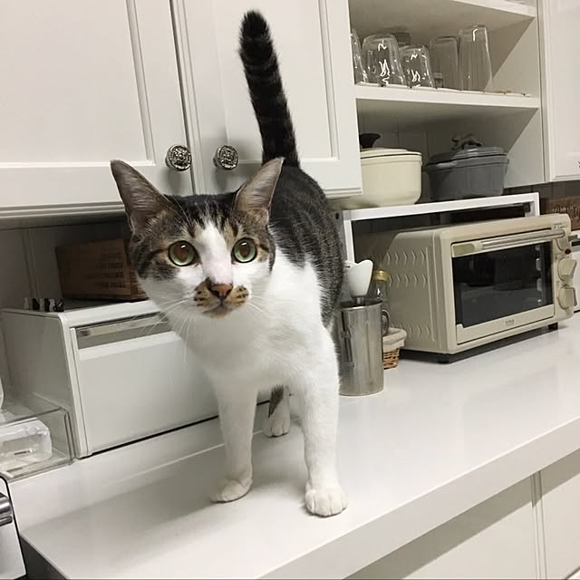 yuchiさんの実例写真