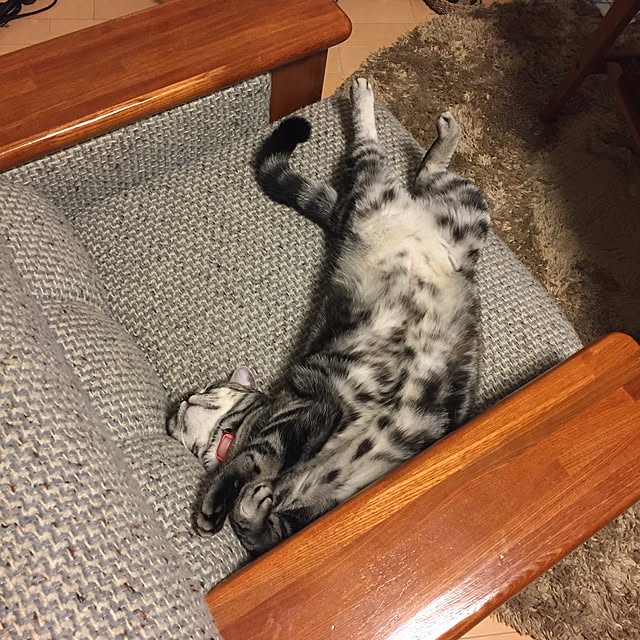 haruさんの実例写真