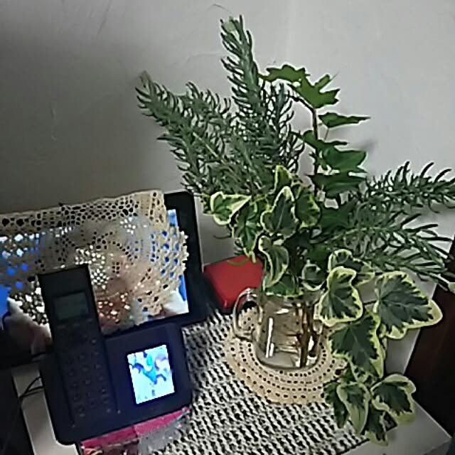 Shochanさんの実例写真