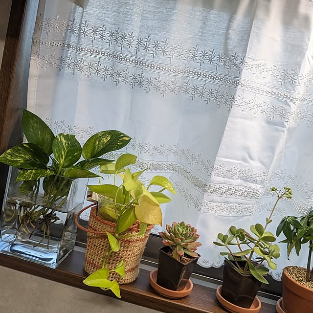 maimaiさんの実例写真