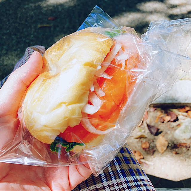 実例写真