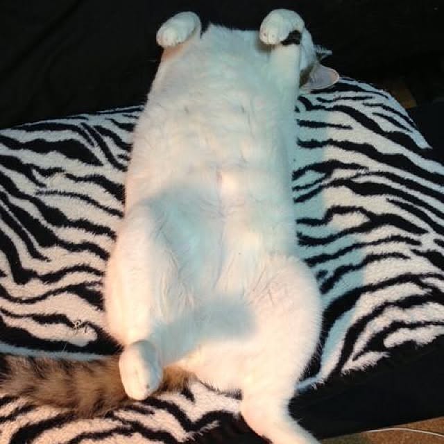 TONYさんの実例写真