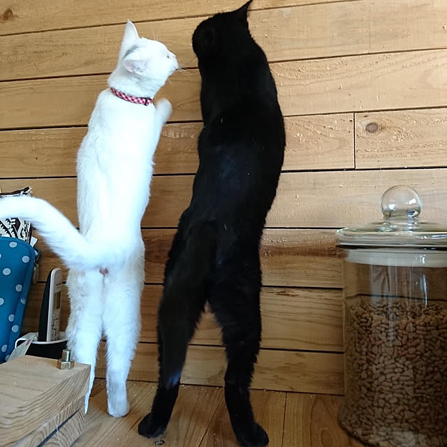 weさんの実例写真