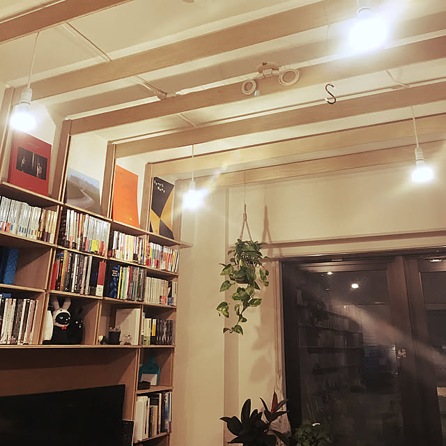 ペンダントライト/DIY/観葉植物/照明/壁/天井のインテリア実例 - 2019-03-17 23:18:13