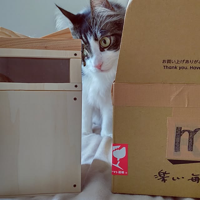 +CHIHARU+さんの部屋