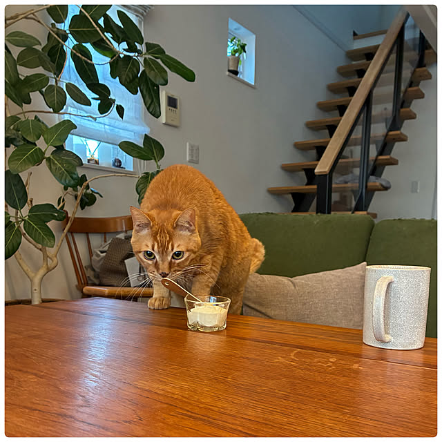 Hisashiさんの実例写真