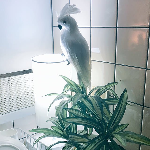 JILLさんの実例写真