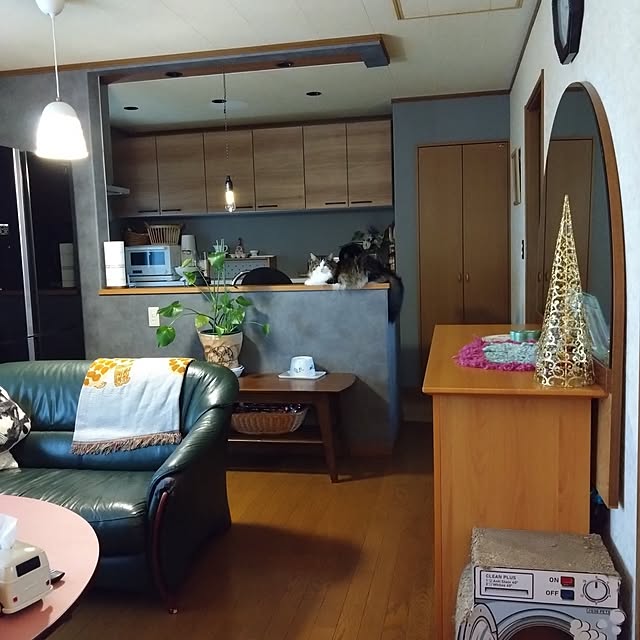 実例写真