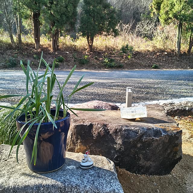 Rubiconさんの部屋