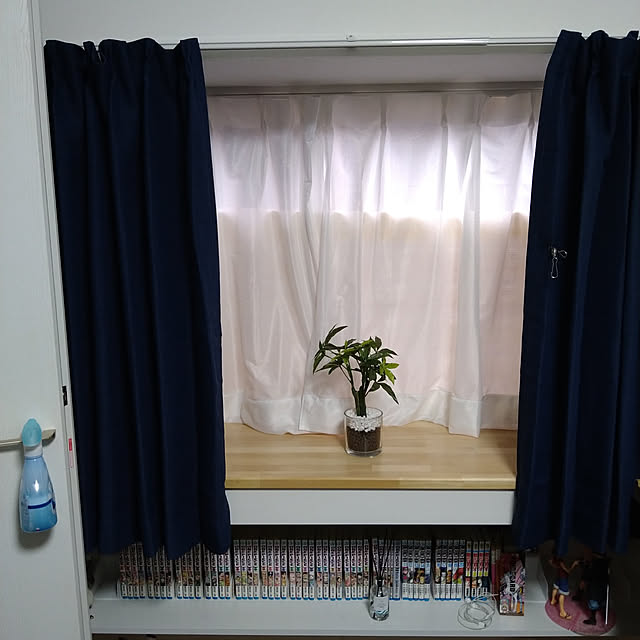 ameamekaasanさんの実例写真