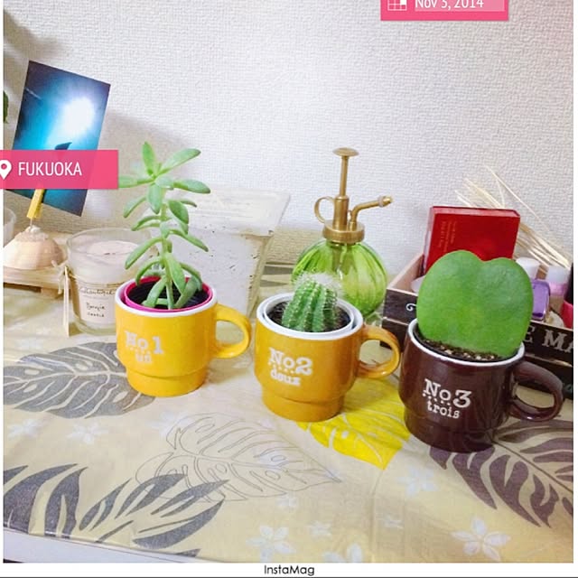 tobireeeeさんの実例写真