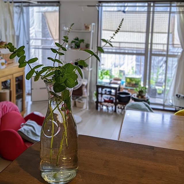 mi-saさんの部屋