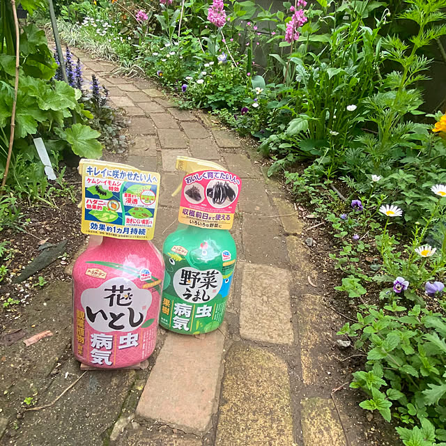 na-chanさんの部屋