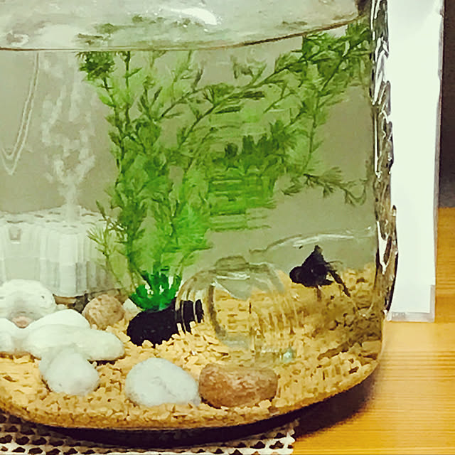 himawari2さんの実例写真