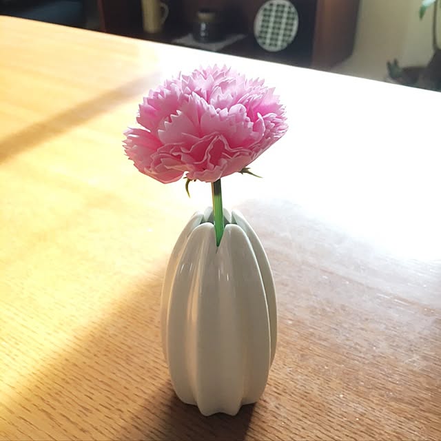 tomoさんの実例写真