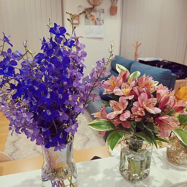 shiori.3173さんの部屋